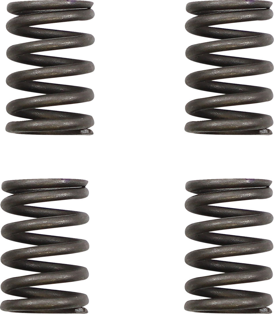 KG POWERSPORTS Clutch Spring Set KGS-039