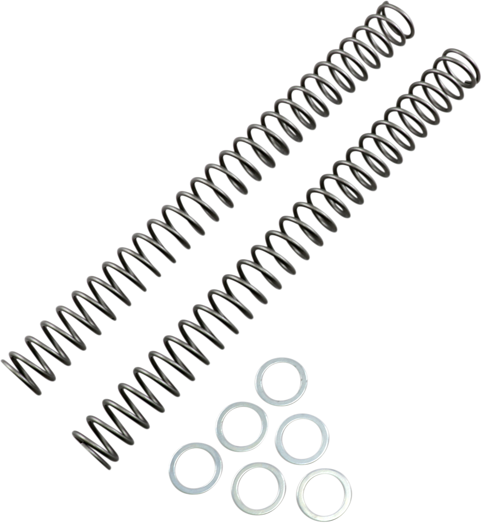 RACE TECH Fork Springs - 0.38 kg/mm FRSP 444738