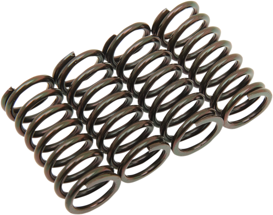 BARNETT Clutch Spring Set 501-63-04014