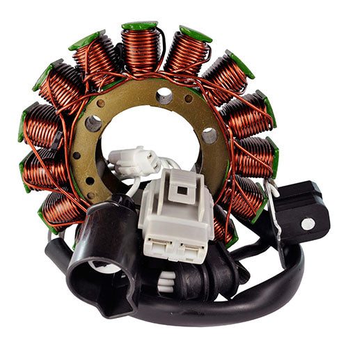 Rmstator Generator Stator 223170
