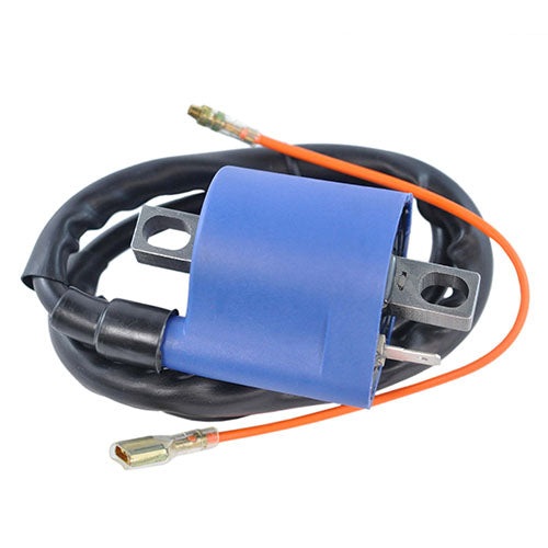 Rmstator External Ignition Coil 223519
