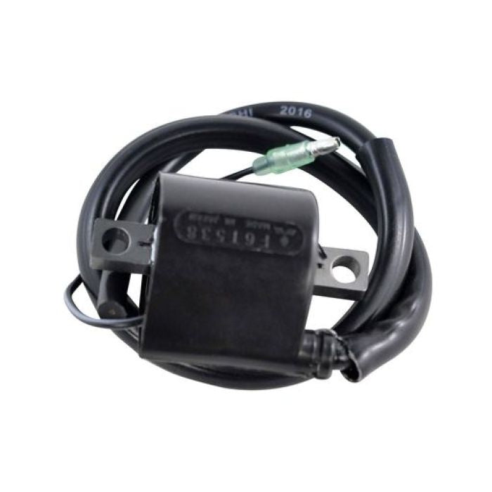 Rmstator External Ignition Coil 224838