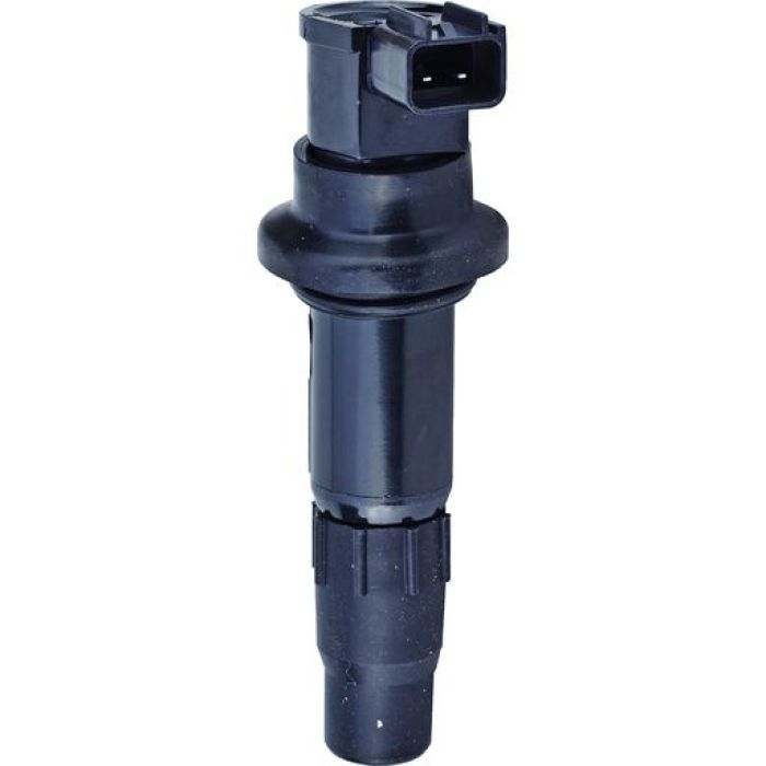 Wildboar External Ignition Coil 251797