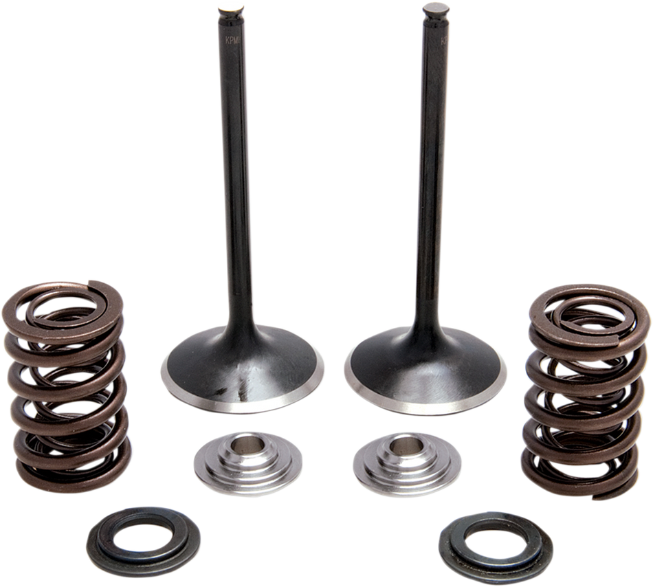 KIBBLEWHITE Intake Spring Kit 30-33200