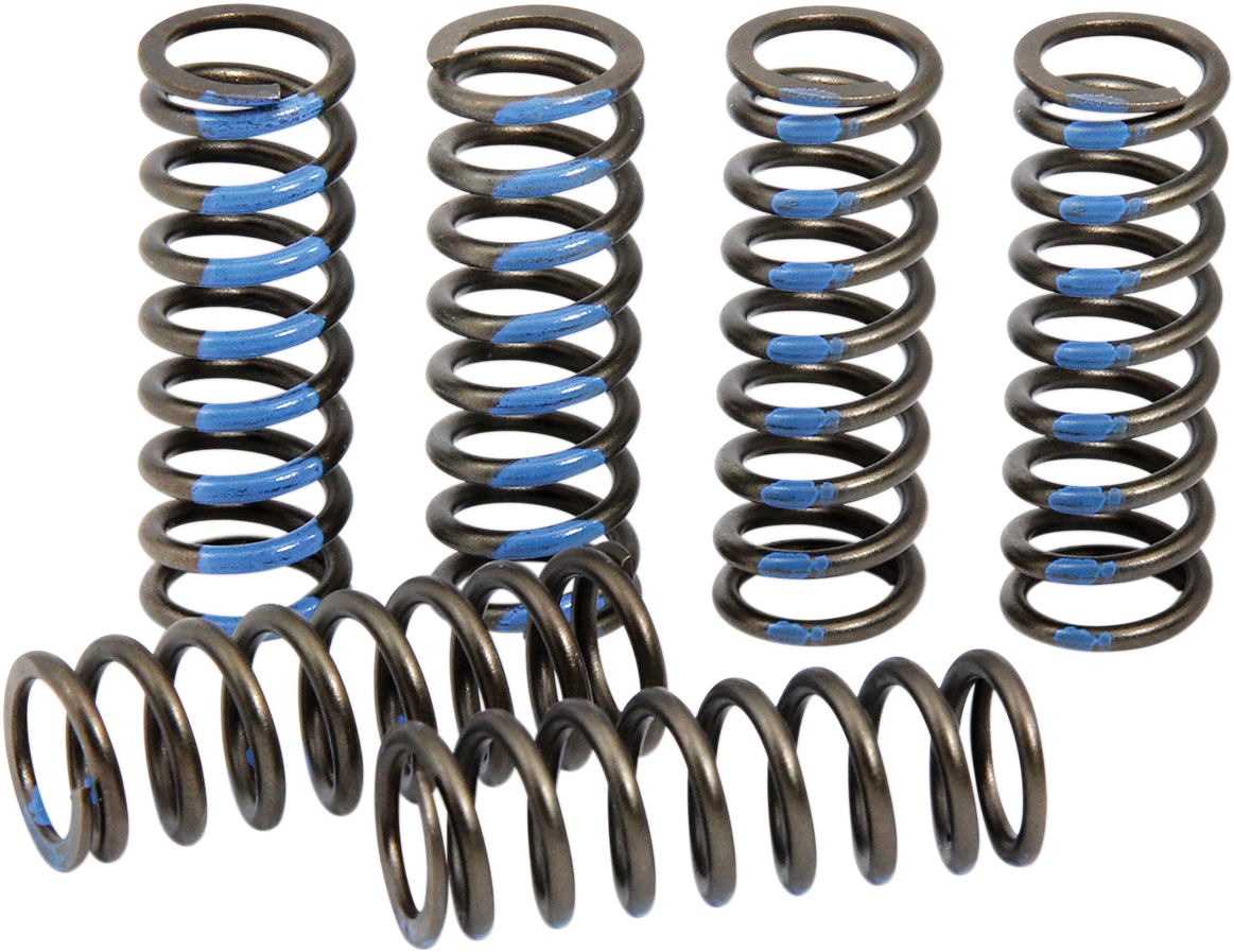 PRO CIRCUIT Clutch Springs CSY19250-CS