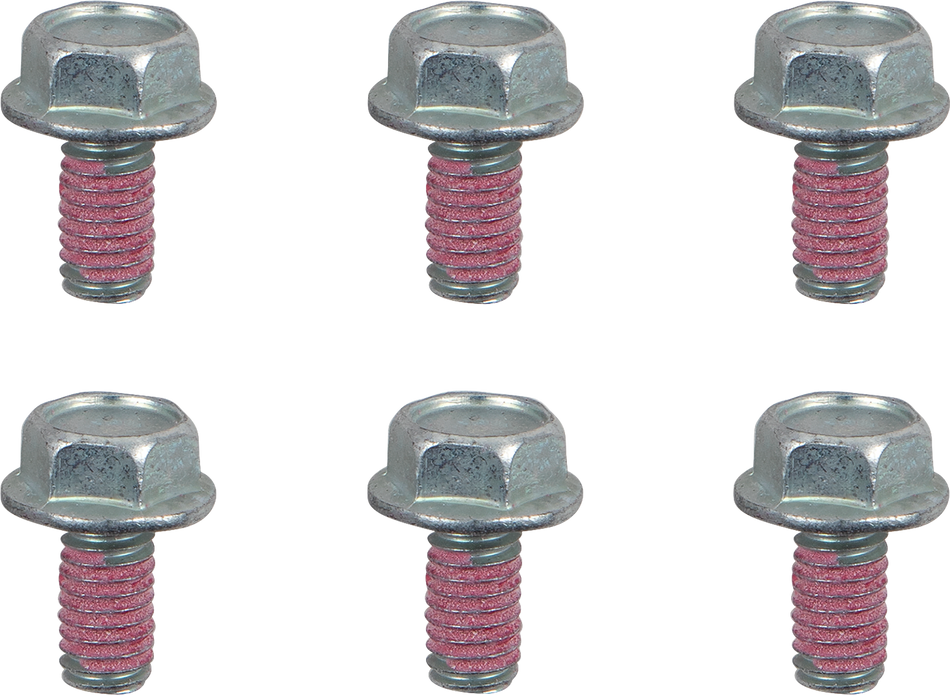 MOTO-MASTER Bolts - Rotor - M6 x 12 12017-PU