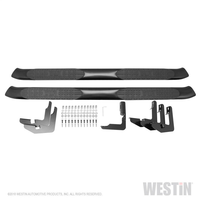 Westin 2019 Ram 1500 Crew Cab (Excl. 2019 Ram 1500 Classic) PRO TRAXX 5 Oval Nerf Step Bars - Black 21-54085