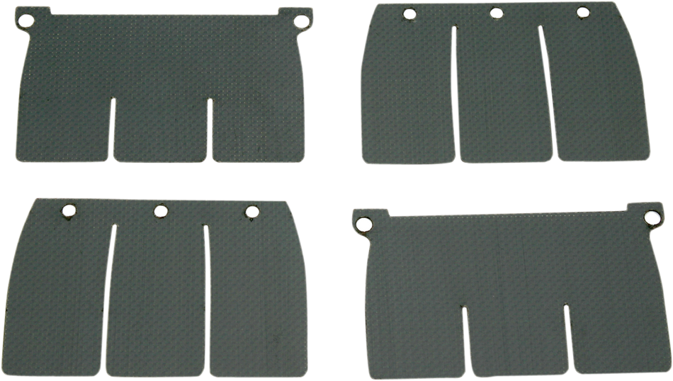 VFORCE/MOTO TASSINARI V-Force Reed Petal Set DP120-1