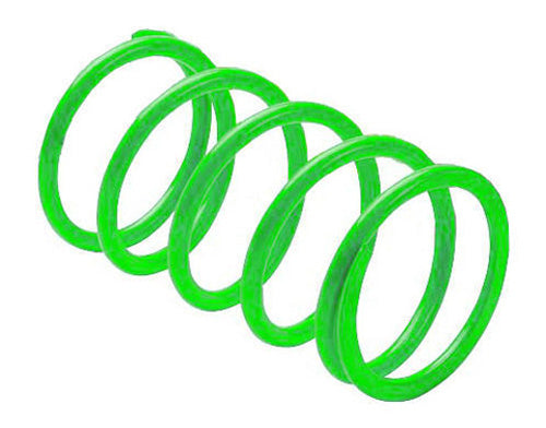 Epi Erlandson Clutch Spring ,Limegreen 328036