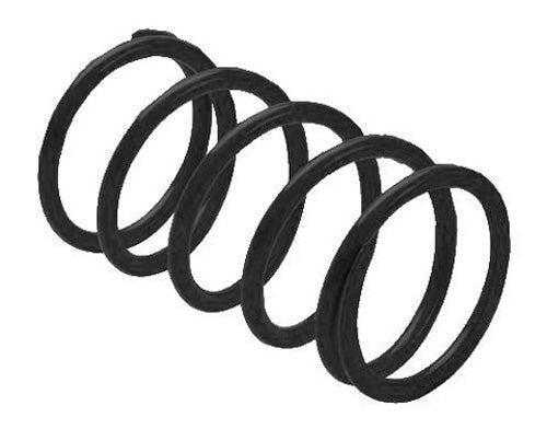 Epi Erlandson Clutch Spring ,Black 328053