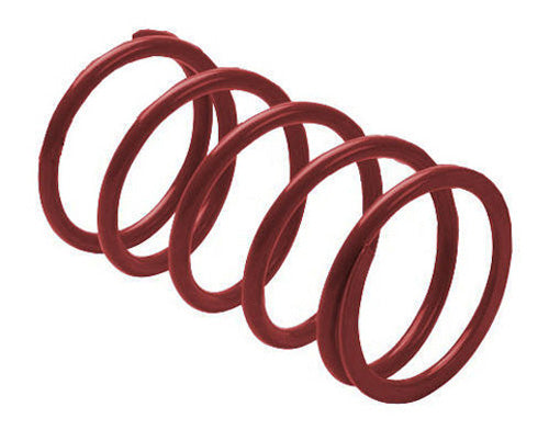 Epi Clutch Spring Maroon 328091