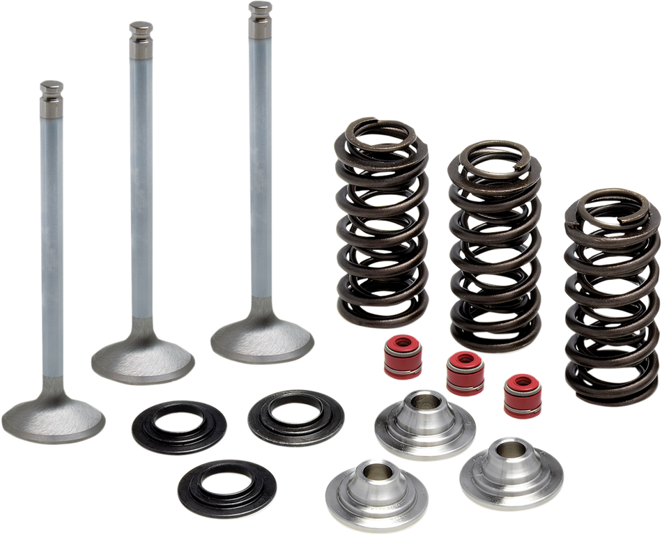 KIBBLEWHITE Valve Spring Kit 80-80950