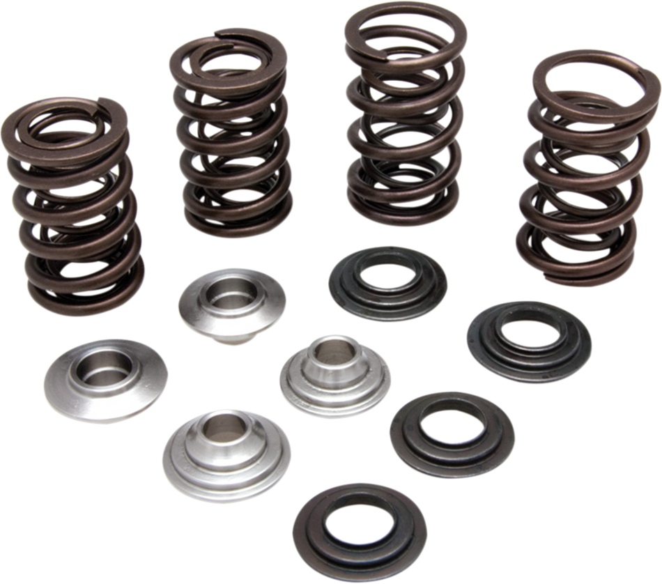 KIBBLEWHITE Valve Spring Kit 60-60280