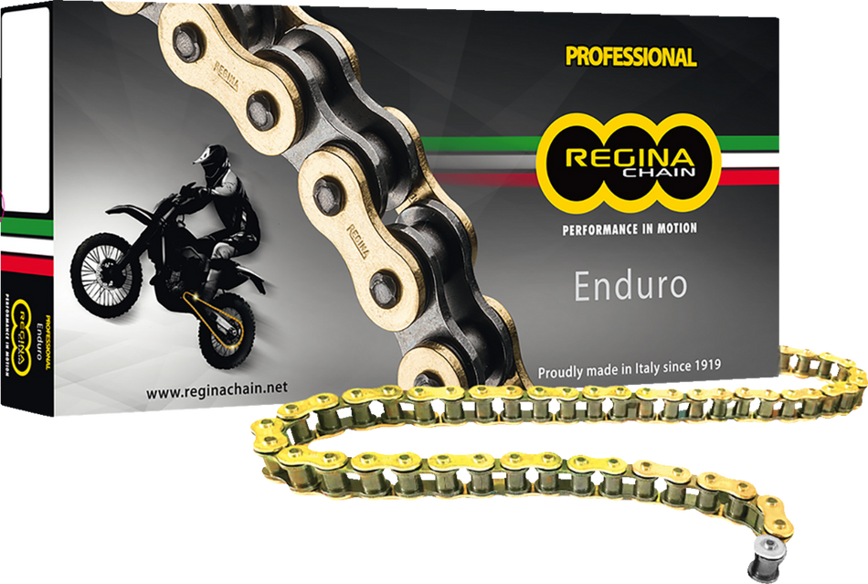 REGINA 520 ZSE - Drive Chain - 112 Links 135ZSE/1000