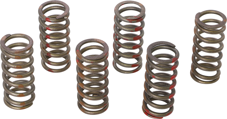 KG POWERSPORTS Clutch Spring Set KGS-001