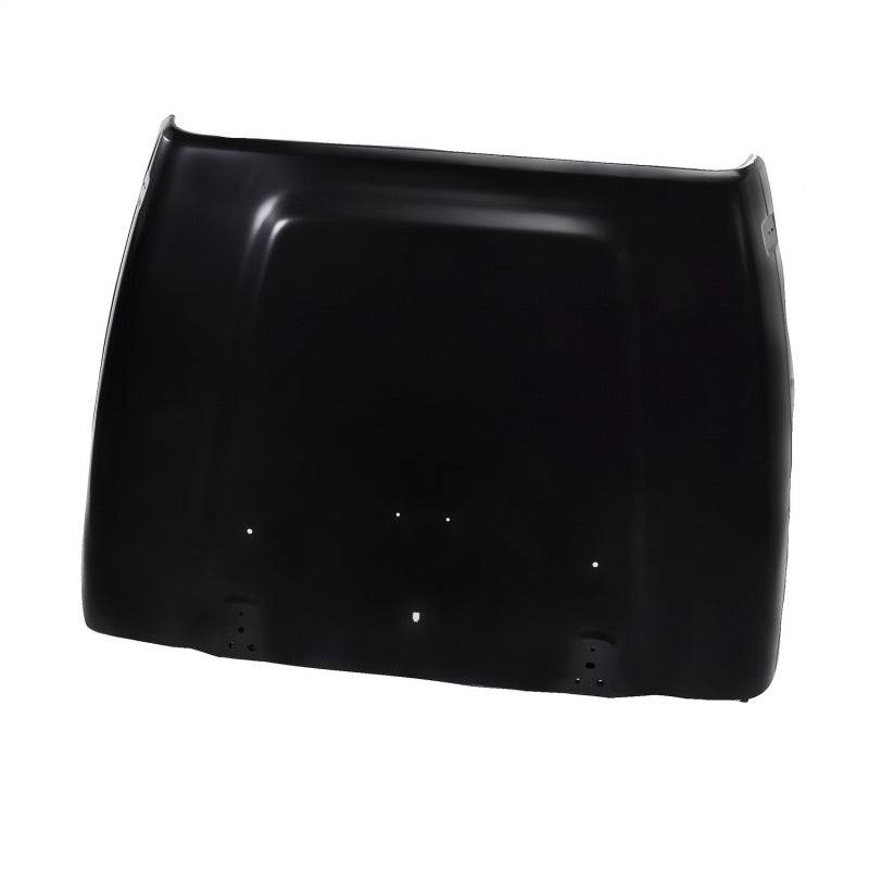 Omix-Motorhaube – 00–06 Jeep Wrangler 12003.08