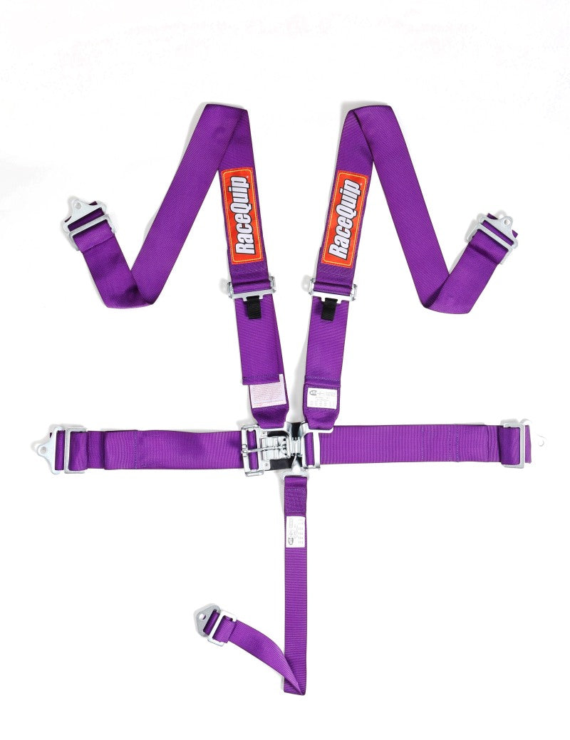 RaceQuip Purple L & L 5pt Seat Belt 711051