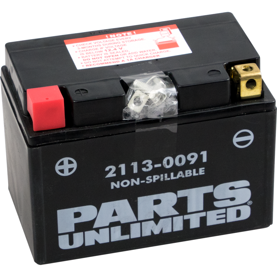 Parts Unlimited Agm Battery - Ytz12s Ctz12s