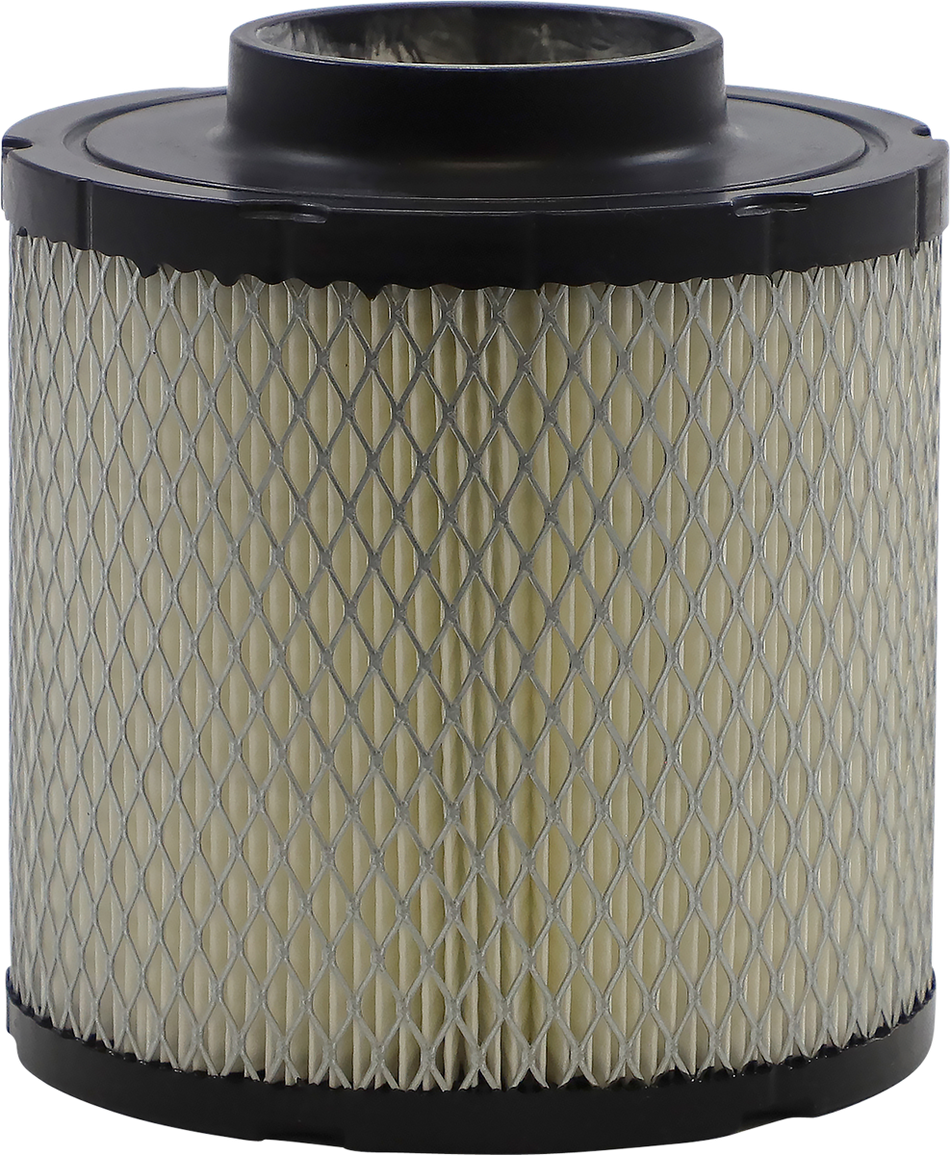 ALL BALLS Air Filter - Polaris 48-1007