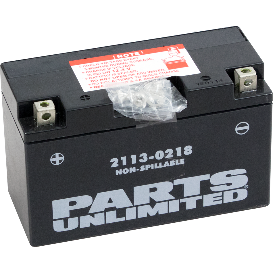 Parts Unlimited Agm Battery - Yt7b-Bs Ct7b-4