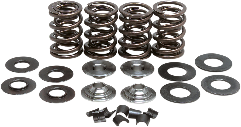 KIBBLEWHITE Valve Spring Kit 60-60120