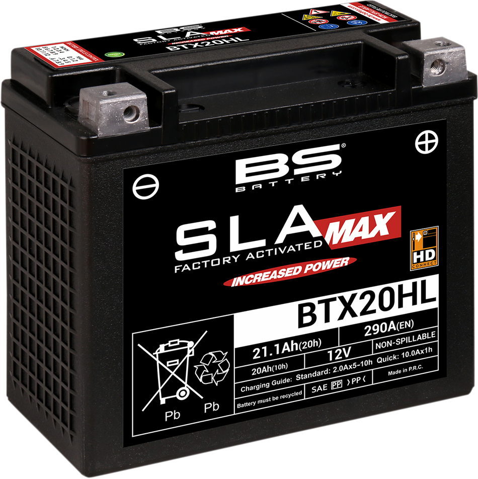 BS BATTERY Battery - BTX20HL (YTX) 300883