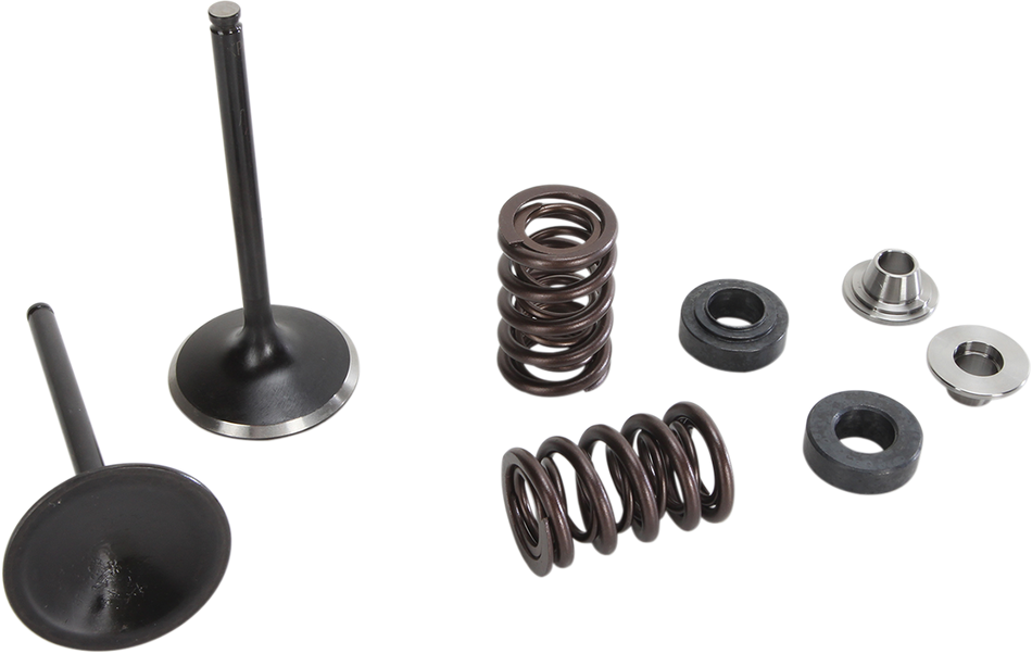 MOOSE RACING Valve and Spring Kit M80-81110