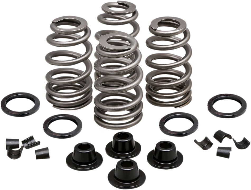 KIBBLEWHITE Spring Kit - .660" - Evolution/Twin Cam 20-21500