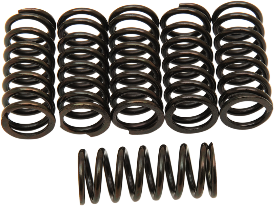 BARNETT Clutch Springs 501-50-06042