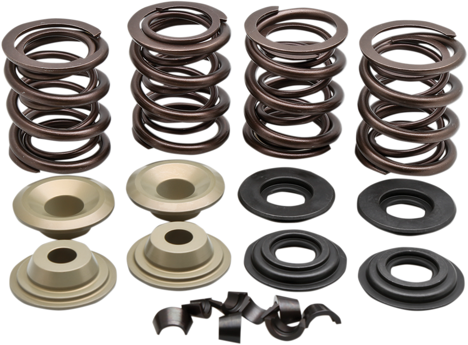 KIBBLEWHITE Valve Spring Kit 20-21150