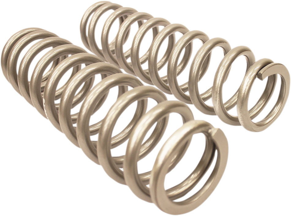 HIGH LIFTER Rear Shock Springs - Silver 79-13783