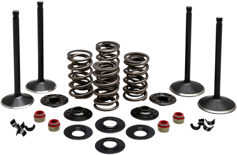 KIBBLEWHITE Complete Valve Kit - Evolution 20-22650