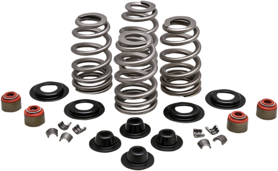 KIBBLEWHITE Spring Kit - .610" - Twin Cam 20-21400