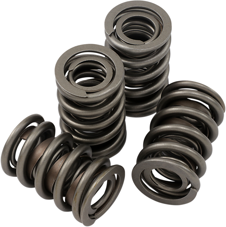 JIMS Valve Spring Kit - Evolution - Big Twin 1356