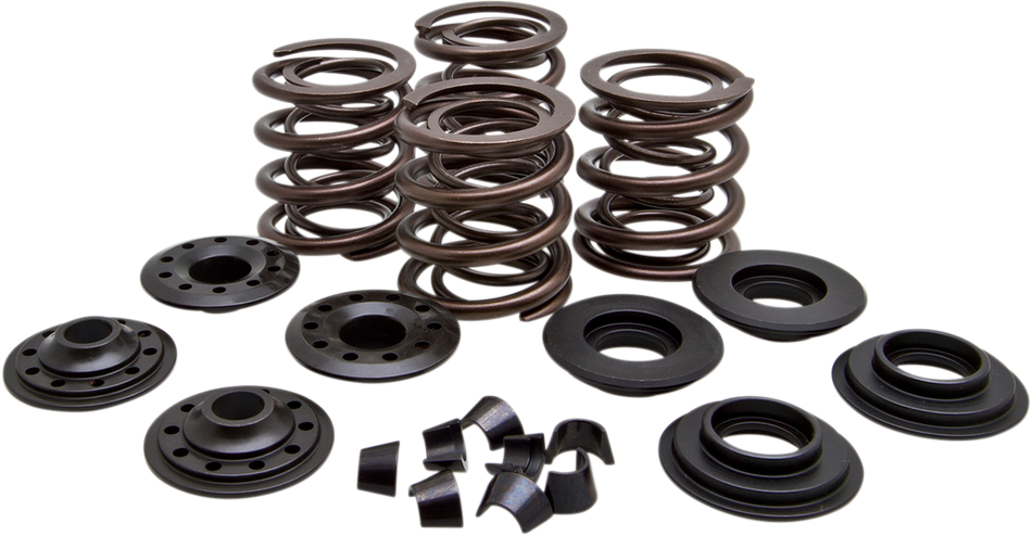 KIBBLEWHITE Valve Spring Kit 20-20450