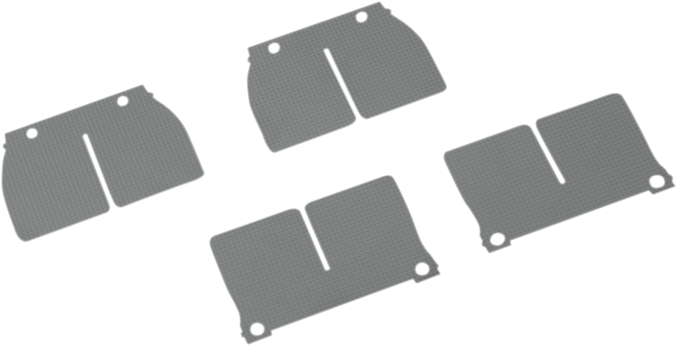 VFORCE/MOTO TASSINARI V-Force Reed Petal Set 2P117-1