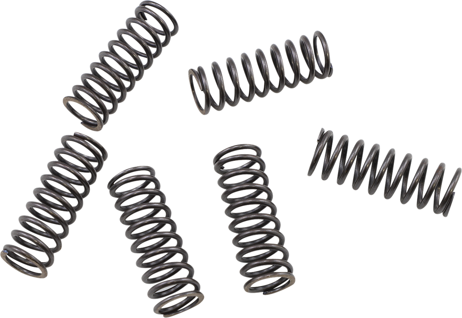 KG POWERSPORTS Clutch Spring Set KGS-806