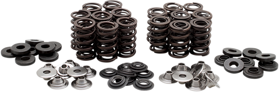 KIBBLEWHITE Valve Spring Kit 40-40850