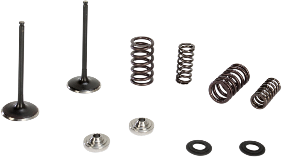 KIBBLEWHITE Intake Valve Kit 60-60470