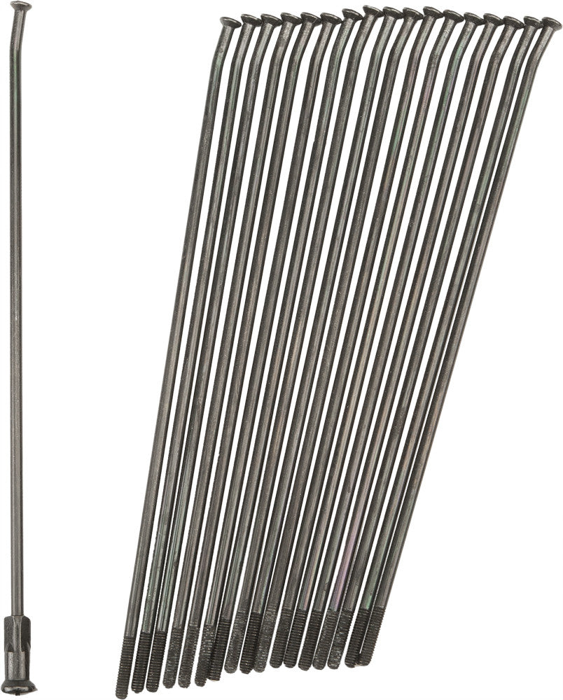 PRO-WHEEL Doppelt konifizierte Speichen, schwarz/schwarz, vorne 21 Zoll, 36/Pk, 21-B229229-2