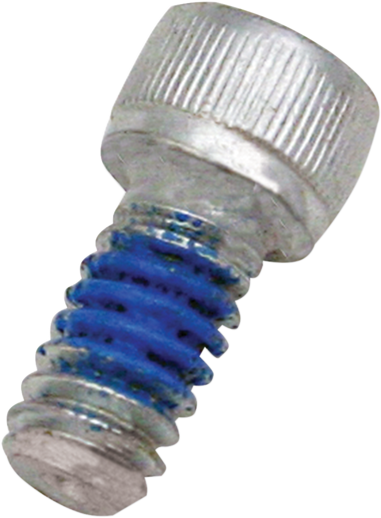 S&S CYCLE Screw 1/4" - 20x1/2" 106-2084