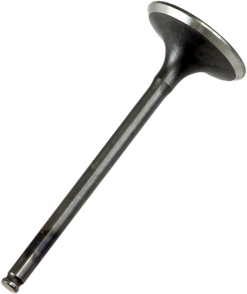 PROX Exhaust Valve 28.1409-1