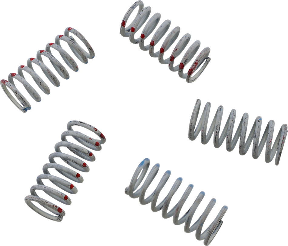 KG POWERSPORTS Clutch Spring Set KGS-049