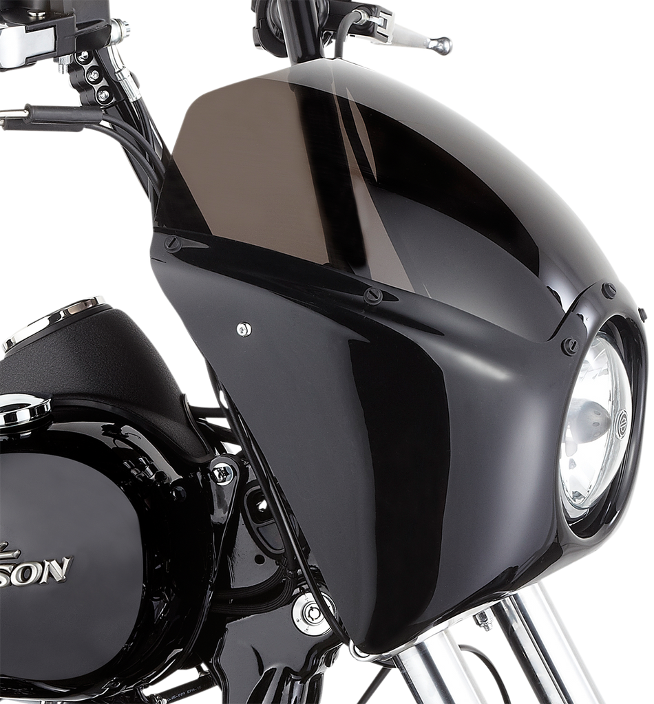 ARLEN NESS Fairing - Gloss Black 06-033