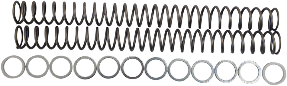 RACE TECH Fork Springs - 0.48 kg/mm FRSP 434648