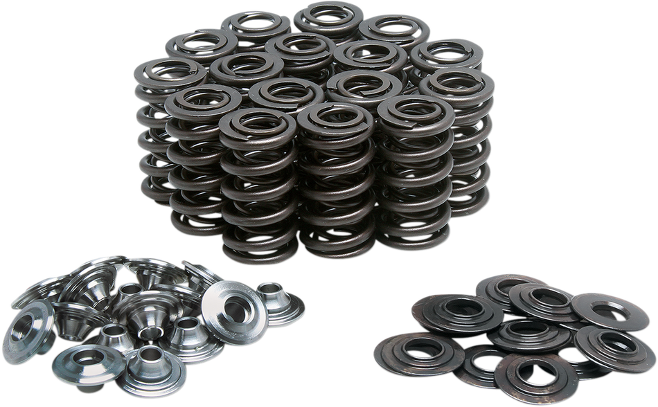 KIBBLEWHITE Valve Spring Kit 60-60146