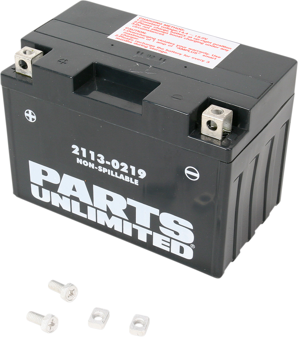 Parts Unlimited Agm Battery - Yt12a-Bs Ct12a-Bs