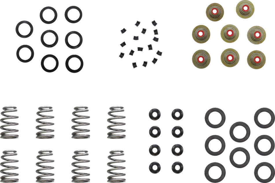 KIBBLEWHITE Beehive Shim Spring Kit 20-23950