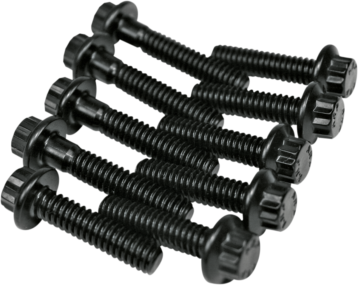 FEULING OIL PUMP CORP. Kit de pernos - Bomba de aceite - Twin Cam 8020 