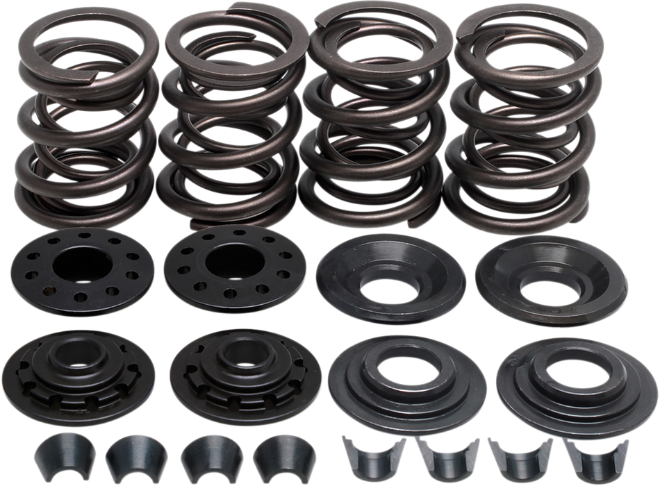 KIBBLEWHITE Valve Spring Kit - XL 20-2210